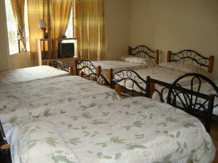 Hotel Alamo Internacional سان سلفادور المظهر الخارجي الصورة