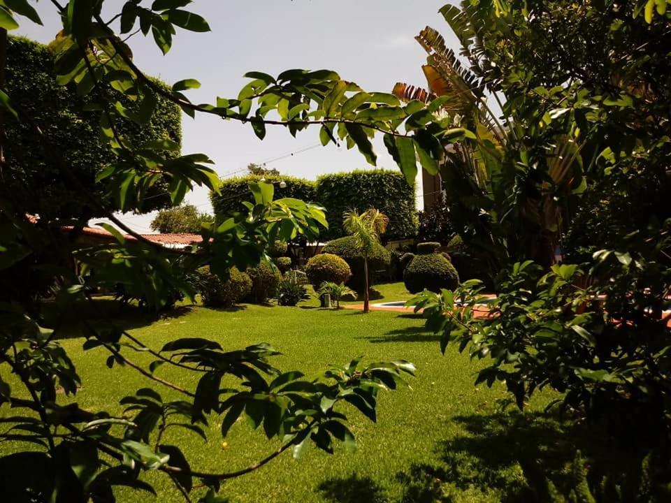 Hotel Alamo Internacional سان سلفادور المظهر الخارجي الصورة