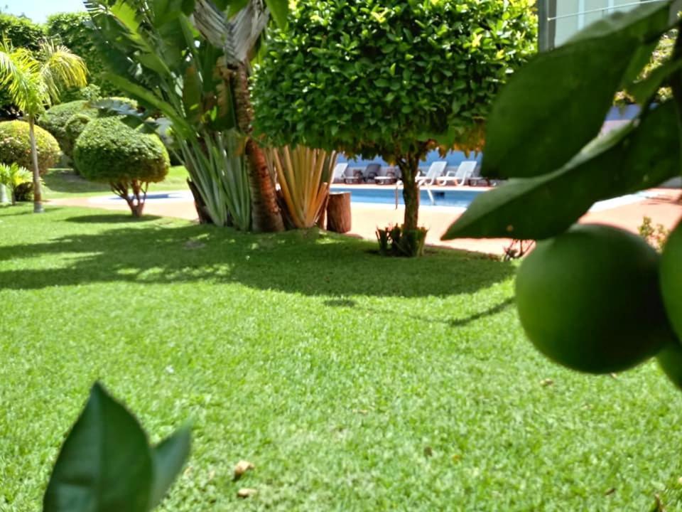 Hotel Alamo Internacional سان سلفادور المظهر الخارجي الصورة