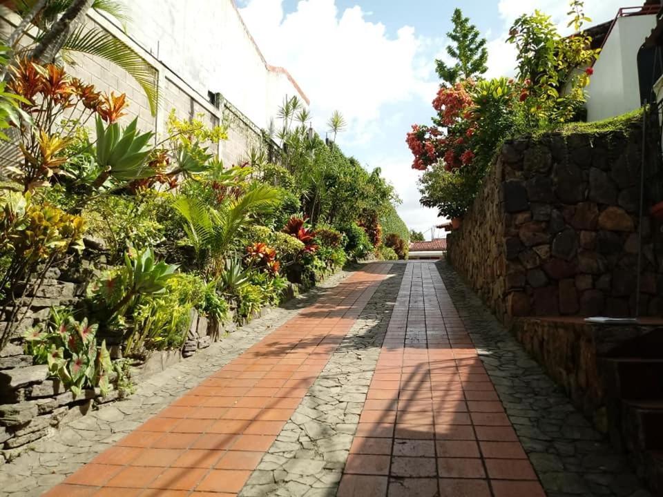 Hotel Alamo Internacional سان سلفادور المظهر الخارجي الصورة