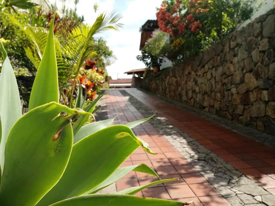 Hotel Alamo Internacional سان سلفادور المظهر الخارجي الصورة